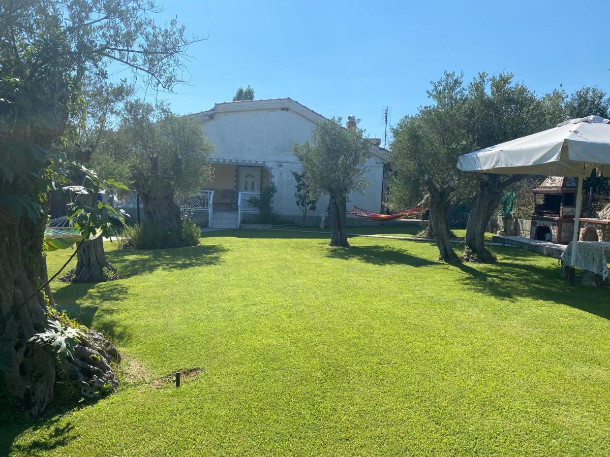 Terry'S Villa Makri Exterior foto